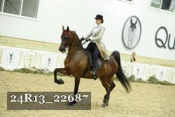 24R13_22687 thumbnail