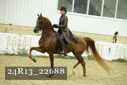 24R13_22688 thumbnail
