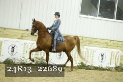 24R13_22689 thumbnail
