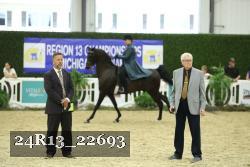 24R13_22693 thumbnail