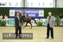 24R13_22694 thumbnail