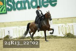 24R13_22702 thumbnail