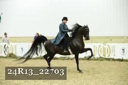 24R13_22703 thumbnail