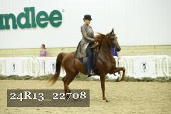 24R13_22708 thumbnail