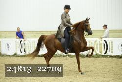 24R13_22709 thumbnail