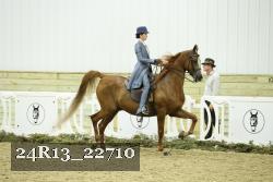 24R13_22710 thumbnail