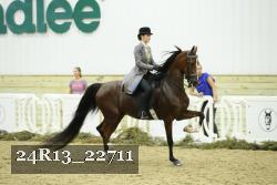 24R13_22711 thumbnail