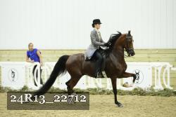 24R13_22712 thumbnail