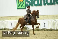 24R13_22713 thumbnail