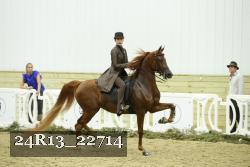 24R13_22714 thumbnail