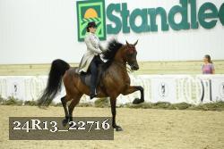 24R13_22716 thumbnail