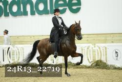 24R13_22719 thumbnail