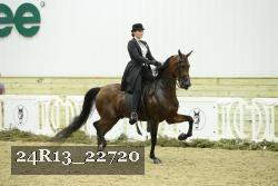 24R13_22720 thumbnail