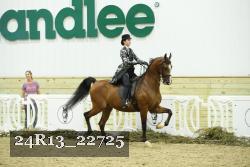 24R13_22725 thumbnail