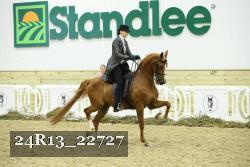 24R13_22727 thumbnail