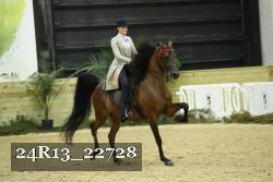 24R13_22728 thumbnail