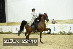 24R13_22730 thumbnail
