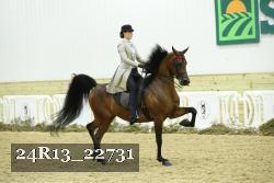 24R13_22731 thumbnail