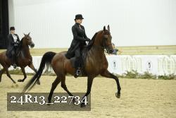 24R13_22734 thumbnail
