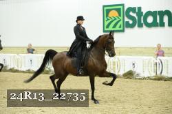24R13_22735 thumbnail