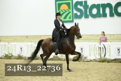 24R13_22736 thumbnail