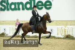 24R13_22737 thumbnail