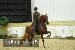 24R13_22738 thumbnail