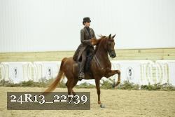 24R13_22739 thumbnail