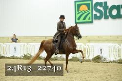 24R13_22740 thumbnail