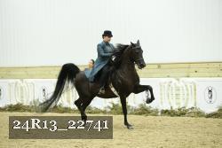 24R13_22741 thumbnail