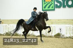24R13_22742 thumbnail