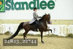 24R13_22744 thumbnail