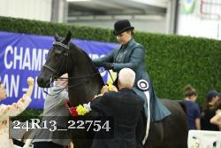 24R13_22754 thumbnail