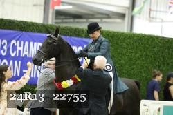 24R13_22755 thumbnail
