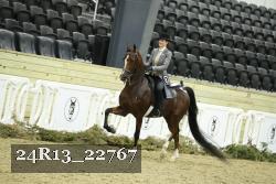 24R13_22767 thumbnail