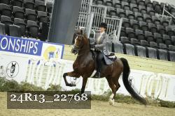 24R13_22768 thumbnail