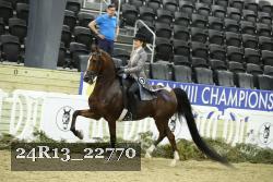 24R13_22770 thumbnail