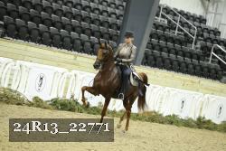 24R13_22771 thumbnail