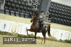 24R13_22772 thumbnail