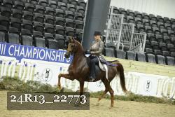 24R13_22773 thumbnail