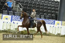 24R13_22774 thumbnail