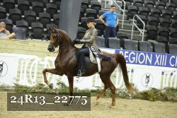 24R13_22775 thumbnail