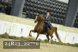 24R13_22776 thumbnail