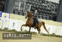 24R13_22777 thumbnail