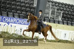 24R13_22778 thumbnail
