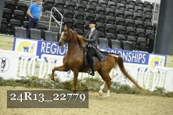 24R13_22779 thumbnail
