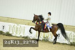 24R13_22781 thumbnail