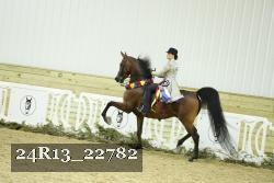 24R13_22782 thumbnail