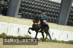24R13_22783 thumbnail