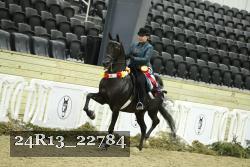 24R13_22784 thumbnail